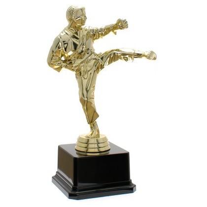 cod. 17.228 - Trofeo karate cm 20