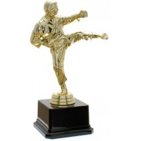 Trofeo karate cm 20