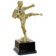 cod. 17.228 - Trofeo karate cm 20