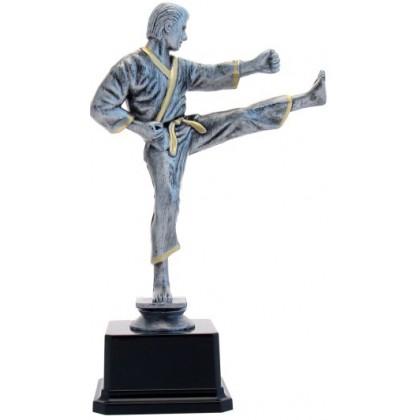 cod. 17.234 - Trofeo karate cm 26