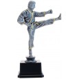 cod. 17.234 - Trofeo karate cm 26