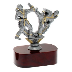 cod. 17.236 - Trofeo karate cm 15