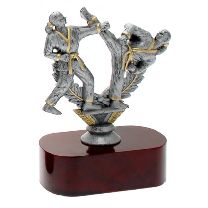 cod. 17.236 - Trofeo karate cm 15