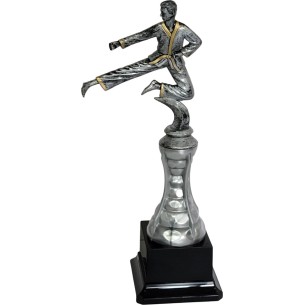 cod. 17.237A - Trofeo karate cm 27