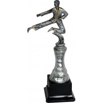 Trofeo karate cm 27