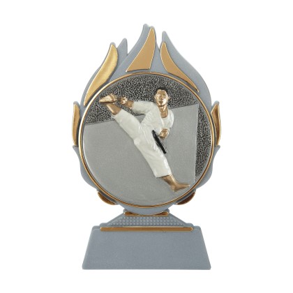 cod. 17.239 - Trofeo karate cm 14