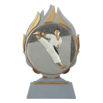 Karate trophy 14 cm