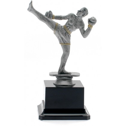 cod. 17.241A - Trofeo kick boxing cm 19