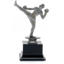 cod. 17.241A - Trofeo kick boxing cm 19