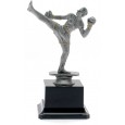 cod. 17.241A - Trofeo kick boxing cm 19