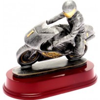 cod. 17.318 - Trofeo moto cm 18x21