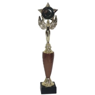 cod. 17.340D - Trofeo stelle cm 38