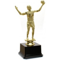Trofeo volley cm 20