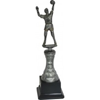 Trofeo pallavolo volley cm 29