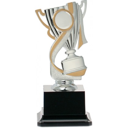 cod. 18.389A.6 - Conf. 6 trofei cm 18