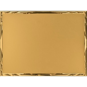 cod. 19.00.23G.10 - Conf. 10 Targhe all. oro cm 23x18 Made in Italy