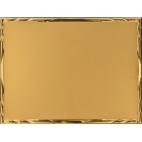 Conf. 10 Targhe all. oro cm 16x12