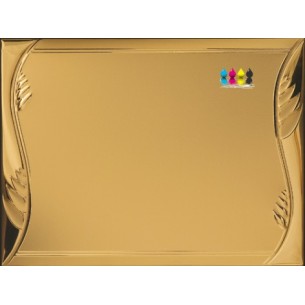 cod. 19.11.20G - Targa alluminio 20x15 Made in Italy