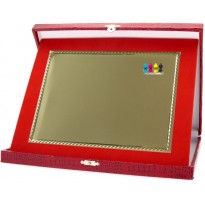 cod. 19.17.23C.10 - Conf. 10 targhe+astucci cm 23x19 Made in Italy