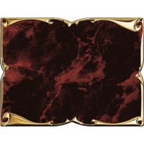 cod. 19.79.16R.10 - Conf. 10 Targhe alluminio cm 16x12 Made in Italy