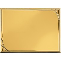 Targa alluminio cm 20x15