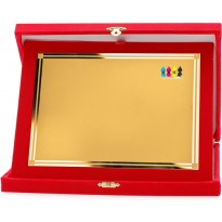 Conf. 10 targhe+astucci cm 21x17