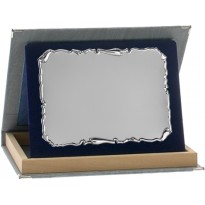 Conf. 10 targhe+astucci cm 33x28