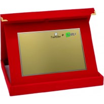 Conf. 10 targhe+astucci cm 26x21