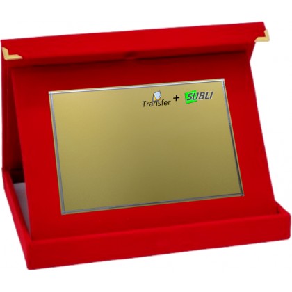 cod. 20.62.21.10 - Conf. 10 targhe+astucci cm 21x17 Made in Italy