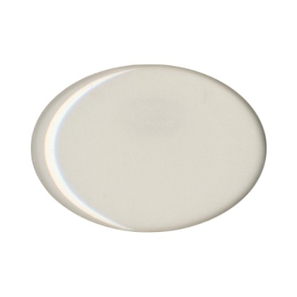 cod. 23.057G - Foglio di 60 adesivi resinati neutri mm 14x10 Made in Italy