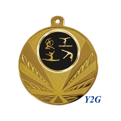 cod. 23.285.50.Y2G - Conf. 100 medaglie mm 50 palestra 1