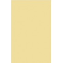 cod. 24.001G - Targa plex neutra oro min. E. 8