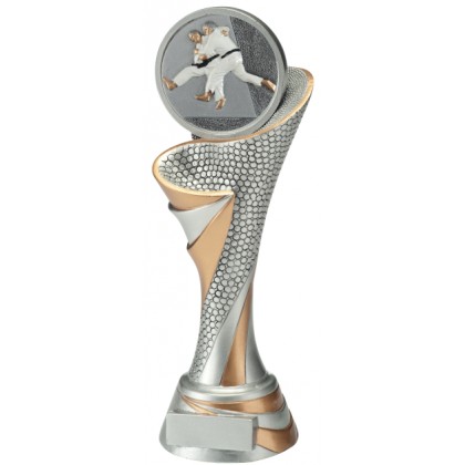 cod. 24.797.20 - Trofeo judo cm 26