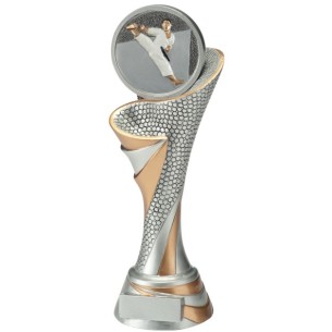 cod. 24.797.21 - Trofeo karate cm 26