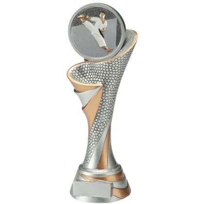 cod. 24.797.21 - Trofeo karate cm 26