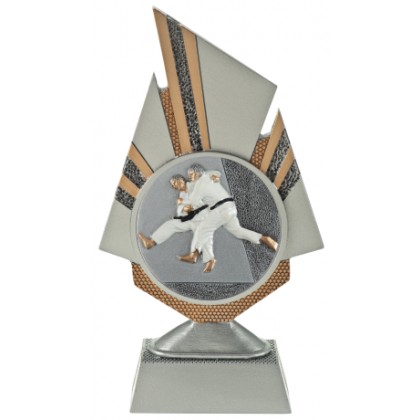 cod. 24.798.20 - Trofeo judo cm 20