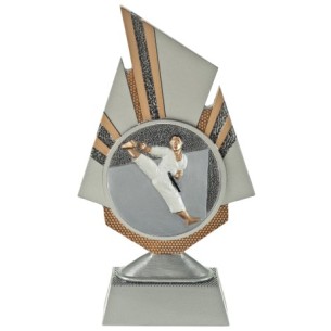 cod. 24.798.21 - Trofeo karate cm 20