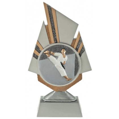 cod. 24.798.21 - Trofeo karate cm 20
