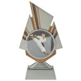 cod. 24.798.21 - Trofeo karate cm 20