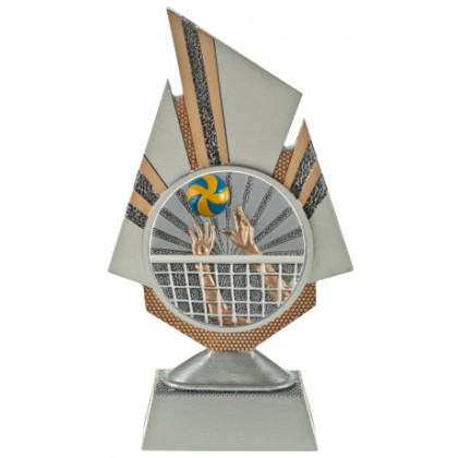cod. 24.798.22 - Trofeo pallavolo cm 20