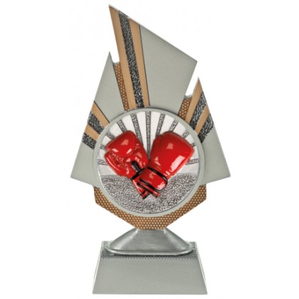 cod. 24.798.31 - Trofeo box pugilato cm 20