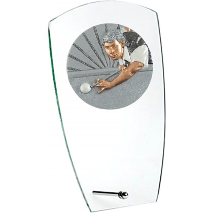 cod. 24.802.13 - Trofeo biliardo cm 15