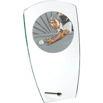 Trofeo biliardo cm 15