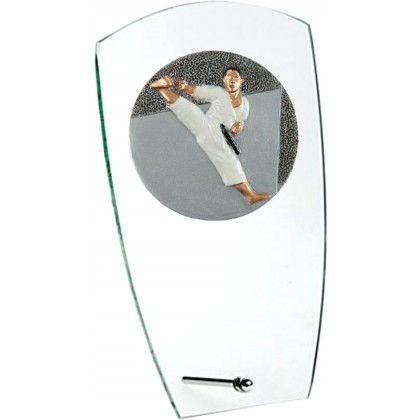 cod. 24.802.21 - Trofeo karate cm 15