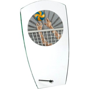 cod. 24.802.22 - Trofeo pallavolo cm 15
