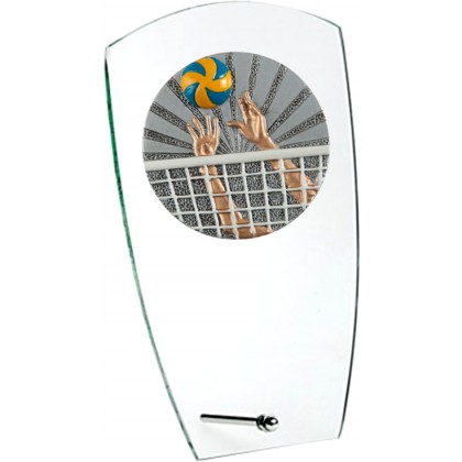 cod. 24.802.22 - Trofeo pallavolo cm 15