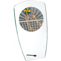 Trofeo pallavolo cm 15