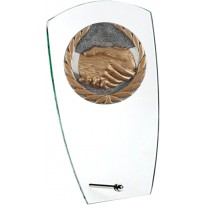 Trofeo amicizia cm 15