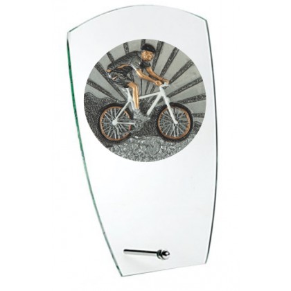 cod. 24.802.38 - Trofeo mountain bike cm 15