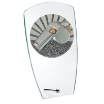 Trofeo arbitro cm 15